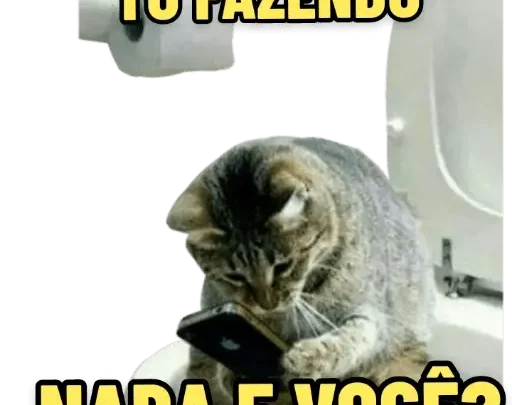 Figurinhas Memes Gatos para whatsapp!
