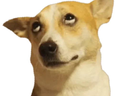 Figurinhas de Animais dançando com IA pra mandar no grupo de whatsapp!
