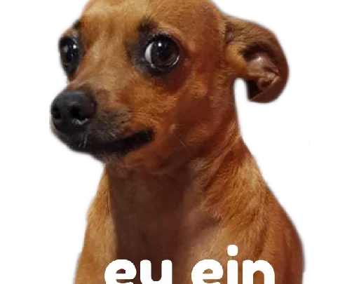 Figurinhas Memes Cachorros para whatsapp