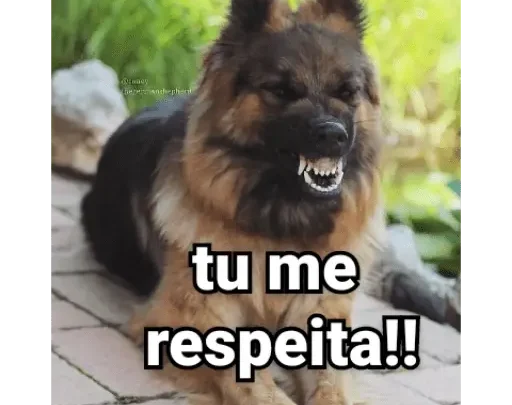 Figurinhas Memes Cachorros para whatsapp!